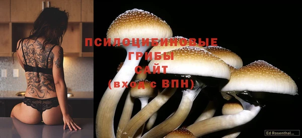 амф Алексин