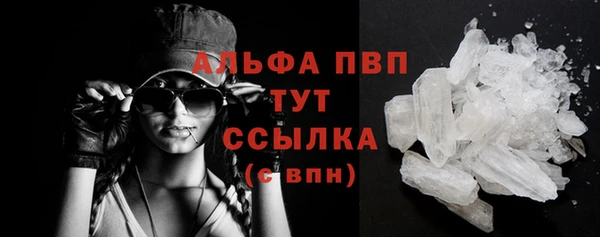 амф Аркадак