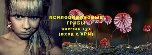 амф Аркадак