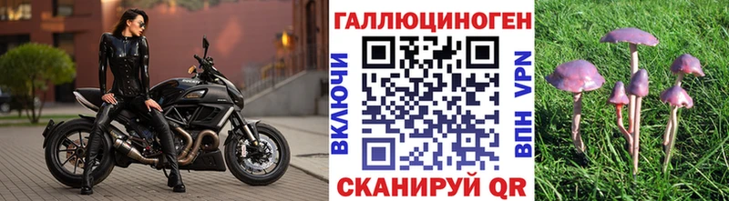 наркошоп  Краснотурьинск  Псилоцибиновые грибы Psilocybine cubensis 